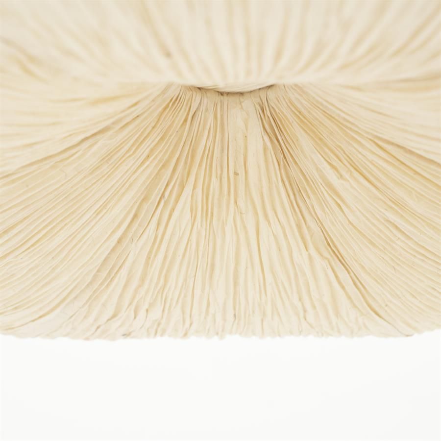 Pendant lamp Lokta 2 - Afbeelding 2