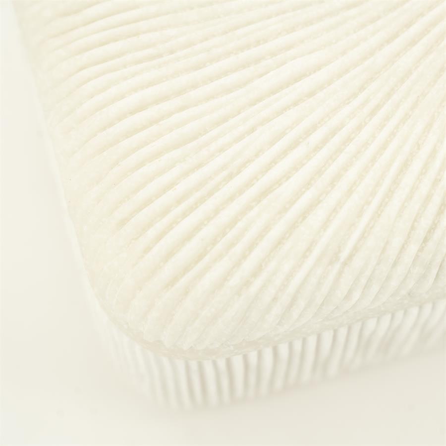 Zoa small - Afbeelding 4