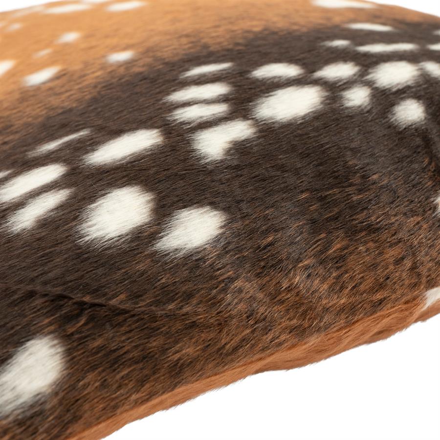 Bambi - Afbeelding 2